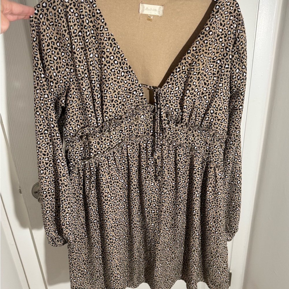 Leopard Print V-Neck Dress